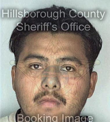 Giancarlo Ortiz, - Hillsborough County, FL 