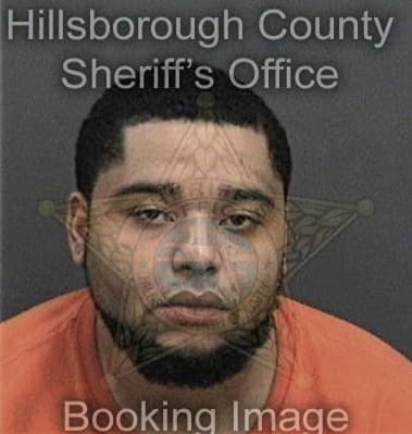 Jose Ortizmendoza, - Hillsborough County, FL 