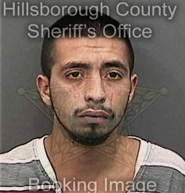 Jose Ramos, - Hillsborough County, FL 