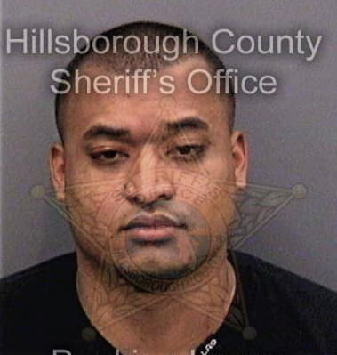 Dominic Sailor, - Hillsborough County, FL 