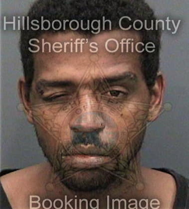 Paul Wilson, - Hillsborough County, FL 