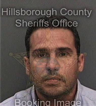 Yvany Alfaroayala, - Hillsborough County, FL 