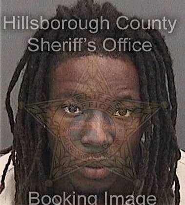 Michael Austin, - Hillsborough County, FL 