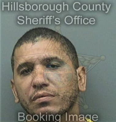 Juan Felixperez, - Hillsborough County, FL 