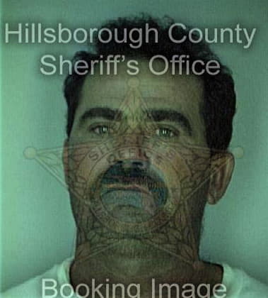 Saul Parraloya, - Hillsborough County, FL 