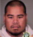 Rescue Reynold - Multnomah County, OR 