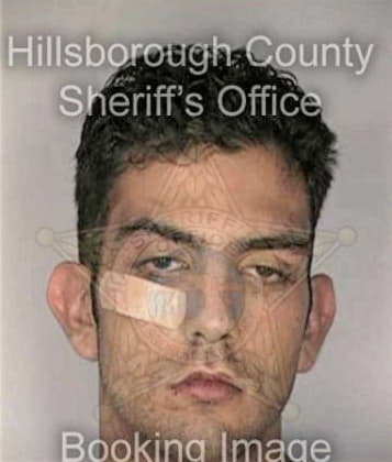 Nathaniel Staggs - Hillsborough County, FL 