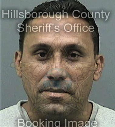 Tyron Travis, - Hillsborough County, FL 