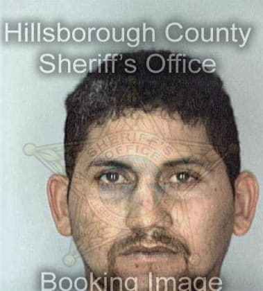 Jesse Ferris, - Hillsborough County, FL 