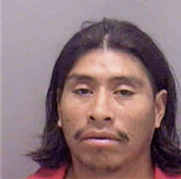 Manuel Ortiz-Martinez, - Lee County, FL 