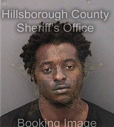 Deandre Rainey, - Hillsborough County, FL 