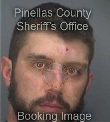 Nicholas Southhall - Pinellas County, FL 