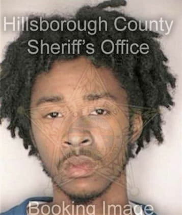 Mamadou Diallo, - Hillsborough County, FL 