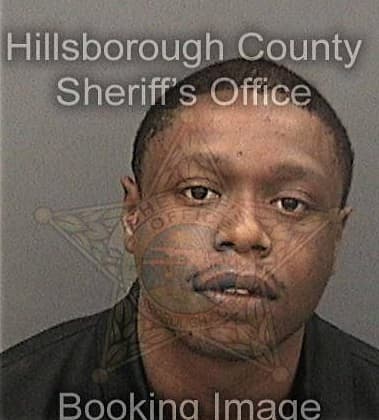 Gerise Gajadharsingh, - Hillsborough County, FL 