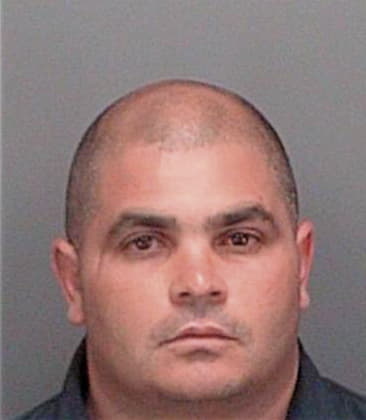 Stanley McCheyne - Pinellas County, FL 