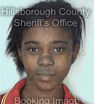 Sunny McKinsey - Hillsborough County, FL 