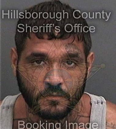 Michael Page, - Hillsborough County, FL 