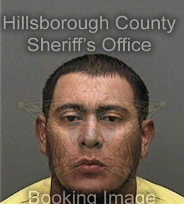 Daniel Tollerud, - Hillsborough County, FL 