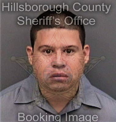 Salvador Venegas, - Hillsborough County, FL 