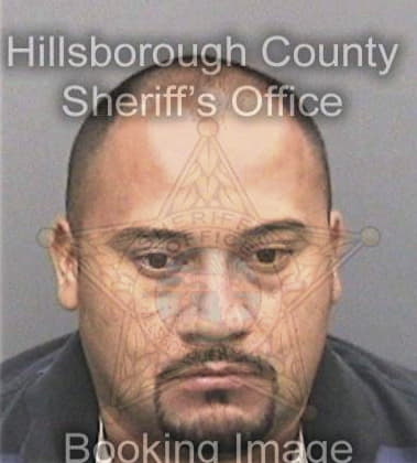 Mickey Demings, - Hillsborough County, FL 