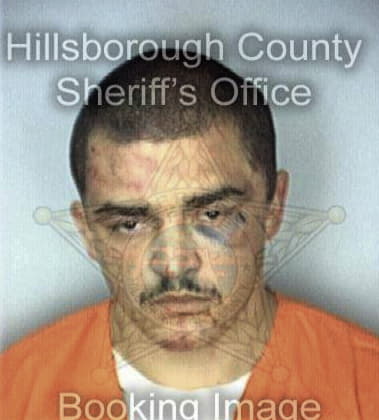 Michael Irvin, - Hillsborough County, FL 