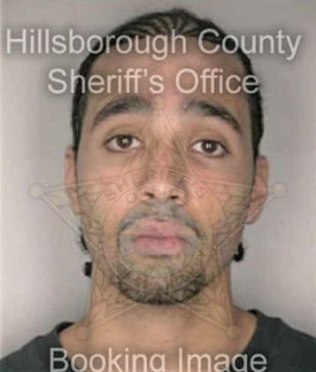 Donaldj McCullough - Hillsborough County, FL 