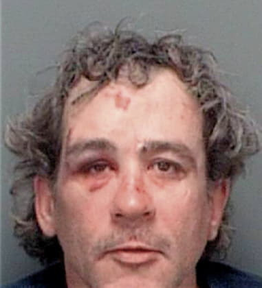 Michael McLain - Pinellas County, FL 