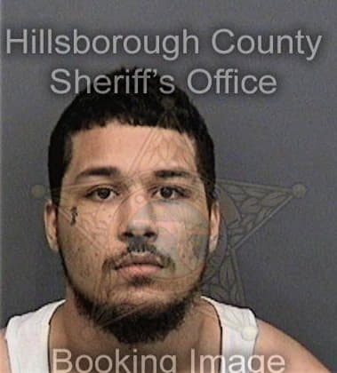 Alex Mojica, - Hillsborough County, FL 