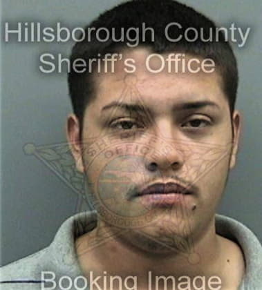 Jeffery Ogles, - Hillsborough County, FL 