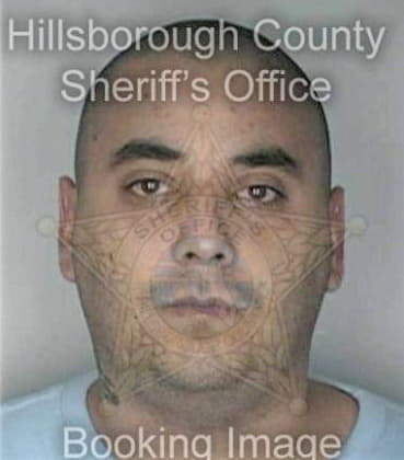 Michael Brandl - Hillsborough County, FL 