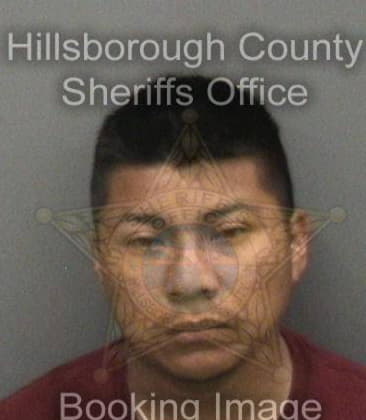 Bryan Brossett, - Hillsborough County, FL 