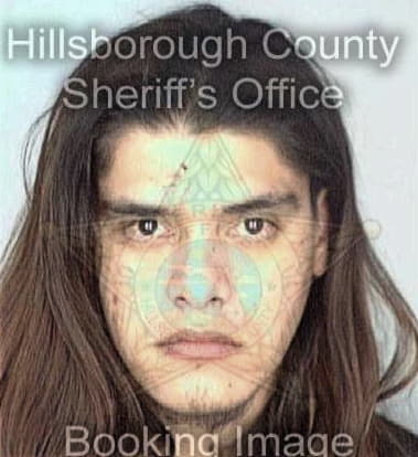 John Browning, - Hillsborough County, FL 