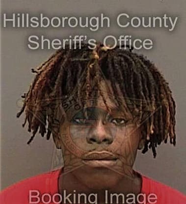 Prescotte Chomba - Hillsborough County, FL 