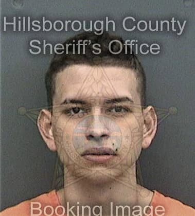 Yasmany Pacheco, - Hillsborough County, FL 