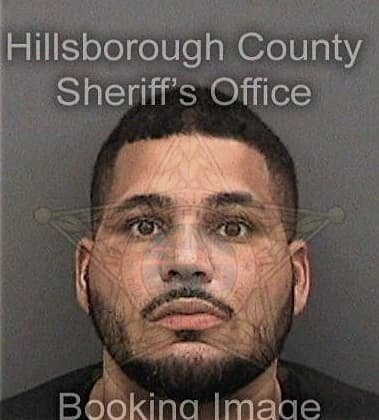 Domingo Rosales, - Hillsborough County, FL 