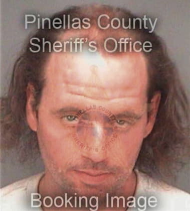 Anthony Snyder - Pinellas County, FL 