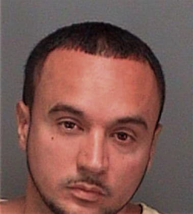 Elmer Unguiaavila, - Pinellas County, FL 