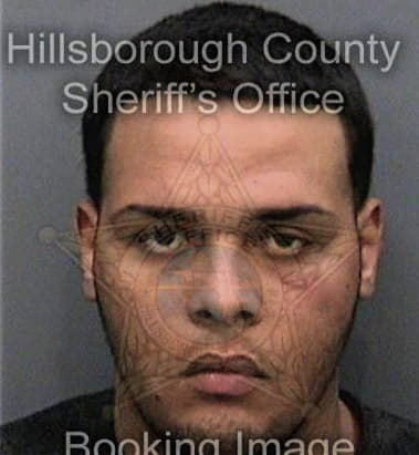 Brandon Windom, - Hillsborough County, FL 