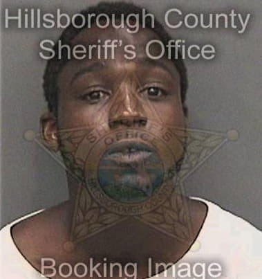 Larry McCrimmon - Hillsborough County, FL 