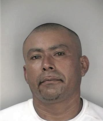 Ismael Salas, - Hillsborough County, FL 