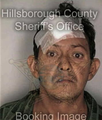 Thomas Will - Hillsborough County, FL 