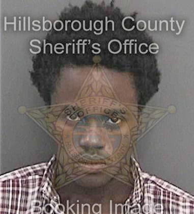 Michael Wilson, - Hillsborough County, FL 