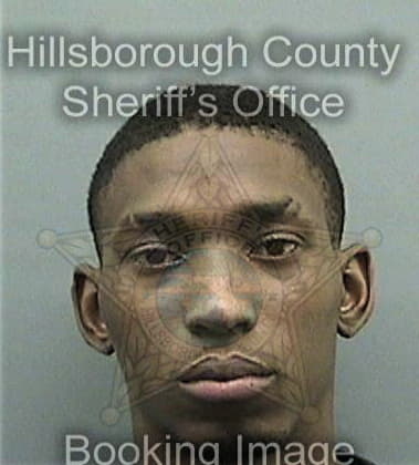 Armendariz Alexander, - Hillsborough County, FL 