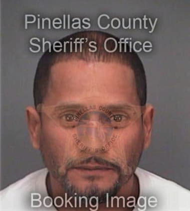 Jorge Casallas, - Pinellas County, FL 