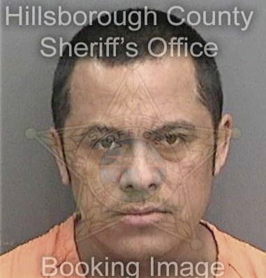 Isidro Garciafelipe, - Hillsborough County, FL 