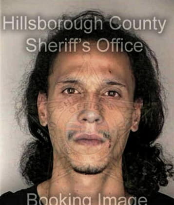 Michael Miller - Hillsborough County, FL 