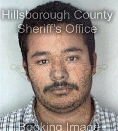 Luis Torres, - Hillsborough County, FL 