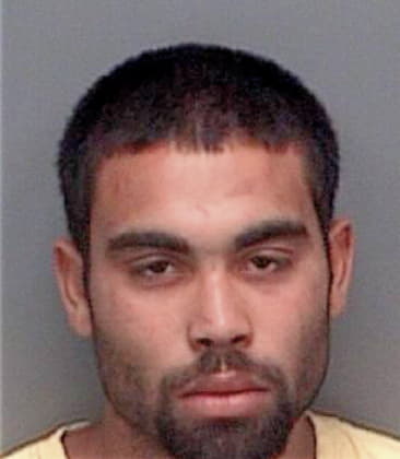 Ramon Torres, - Pinellas County, FL 