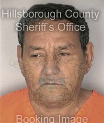 Osvaldo Castellanos, - Hillsborough County, FL 