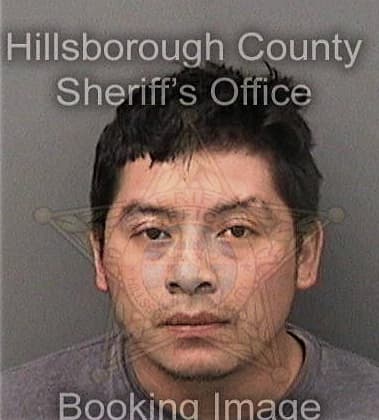 Paul Romeo, - Hillsborough County, FL 